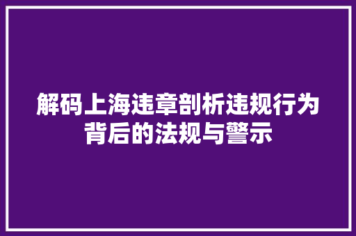 解码上海违章剖析违规行为背后的法规与警示