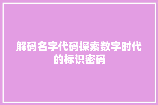 解码名字代码探索数字时代的标识密码