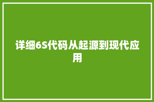 详细6S代码从起源到现代应用