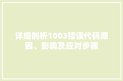 详细剖析1003错误代码原因、影响及应对步骤