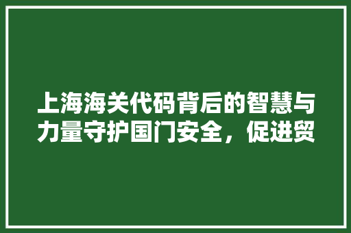 上海海关代码背后的智慧与力量守护国门安全，促进贸易便利