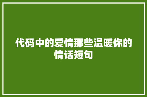 代码中的爱情那些温暖你的情话短句