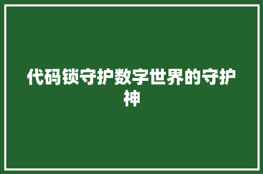 代码锁守护数字世界的守护神