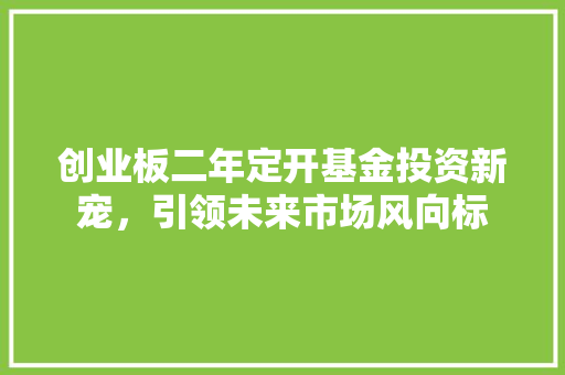 创业板二年定开基金投资新宠，引领未来市场风向标