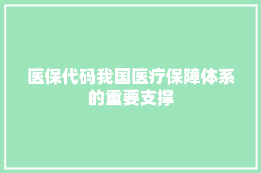 医保代码我国医疗保障体系的重要支撑