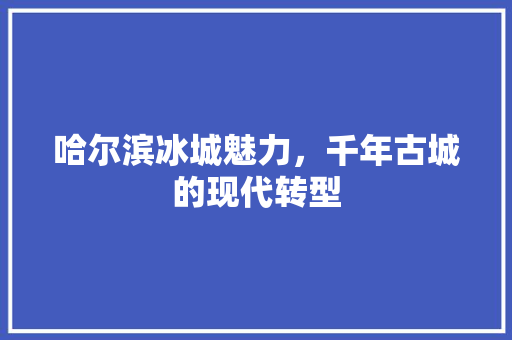 哈尔滨冰城魅力，千年古城的现代转型