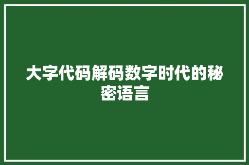 大字代码解码数字时代的秘密语言