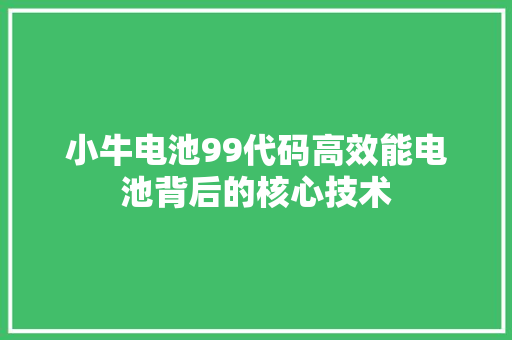 小牛电池99代码高效能电池背后的核心技术