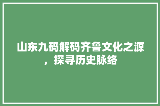 山东九码解码齐鲁文化之源，探寻历史脉络