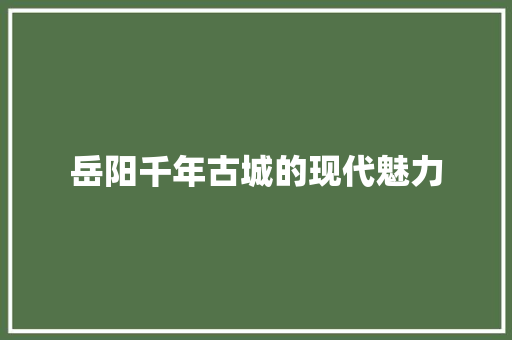 岳阳千年古城的现代魅力