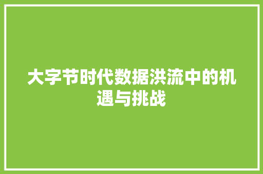 大字节时代数据洪流中的机遇与挑战
