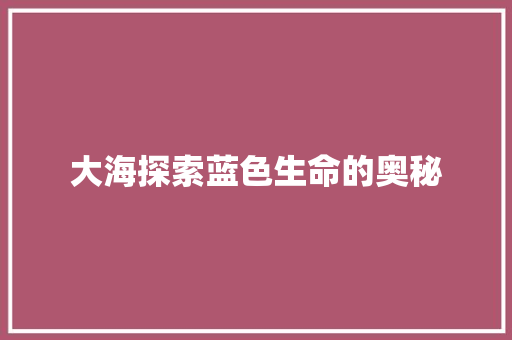 大海探索蓝色生命的奥秘
