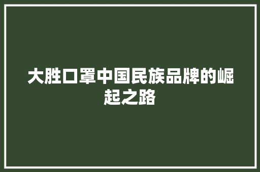 大胜口罩中国民族品牌的崛起之路