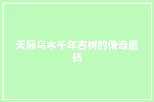 天际乌木千年古树的传奇密码