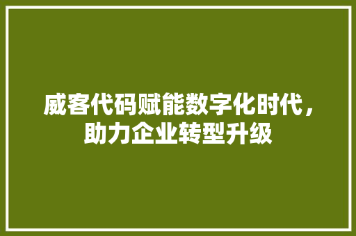 威客代码赋能数字化时代，助力企业转型升级