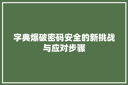 字典爆破密码安全的新挑战与应对步骤