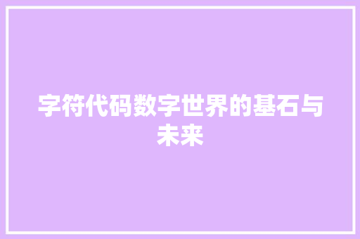 字符代码数字世界的基石与未来