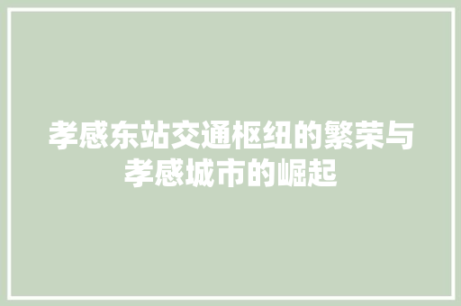 孝感东站交通枢纽的繁荣与孝感城市的崛起