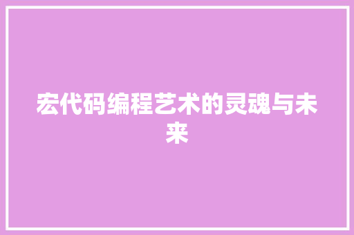 宏代码编程艺术的灵魂与未来