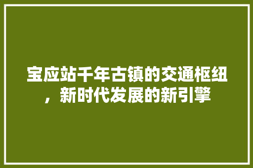 宝应站千年古镇的交通枢纽，新时代发展的新引擎
