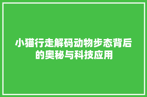 小猫行走解码动物步态背后的奥秘与科技应用