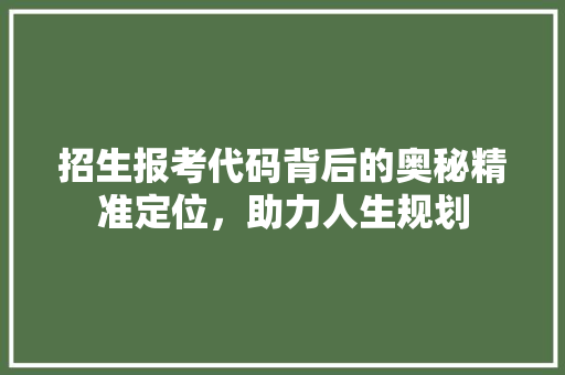 招生报考代码背后的奥秘精准定位，助力人生规划