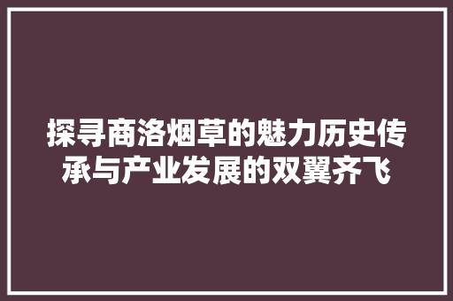 探寻商洛烟草的魅力历史传承与产业发展的双翼齐飞