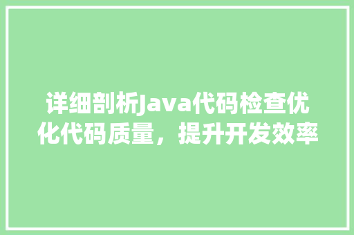 详细剖析Java代码检查优化代码质量，提升开发效率