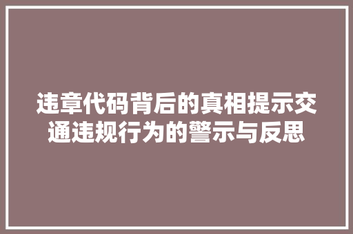 违章代码背后的真相提示交通违规行为的警示与反思