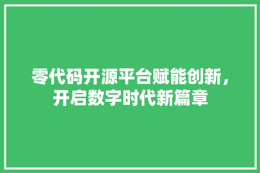 零代码开源平台赋能创新，开启数字时代新篇章