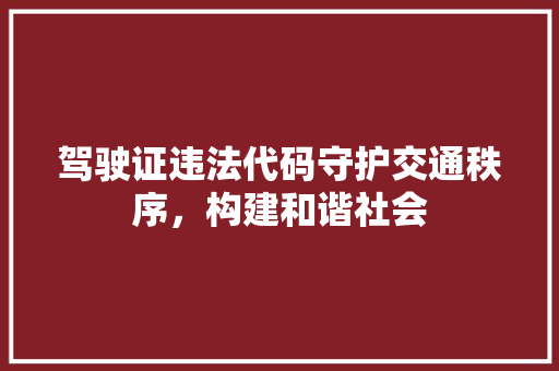 驾驶证违法代码守护交通秩序，构建和谐社会