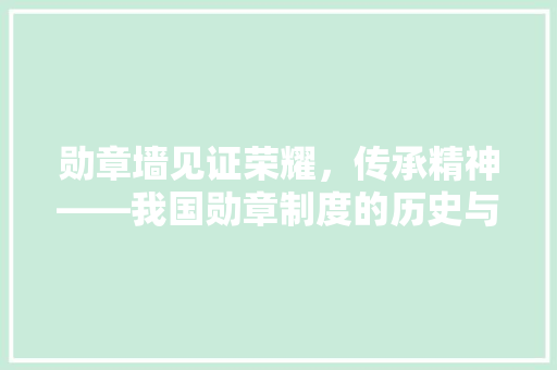 勋章墙见证荣耀，传承精神——我国勋章制度的历史与文化价值
