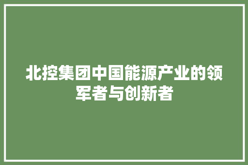 北控集团中国能源产业的领军者与创新者