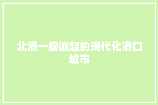 北港一座崛起的现代化港口城市