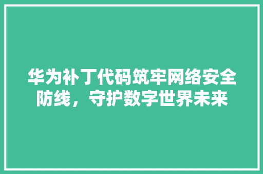 华为补丁代码筑牢网络安全防线，守护数字世界未来
