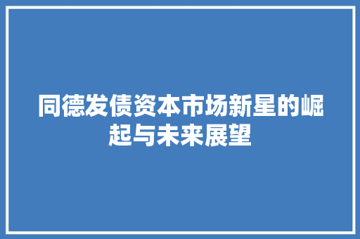 同德发债资本市场新星的崛起与未来展望