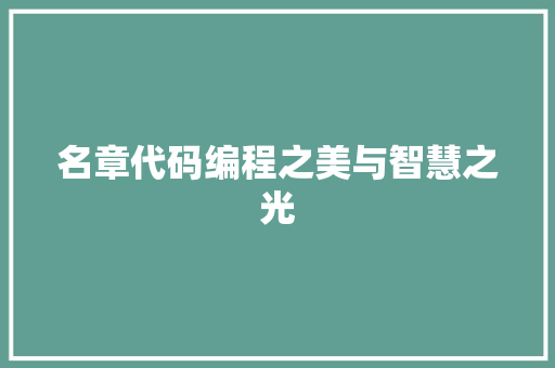 名章代码编程之美与智慧之光