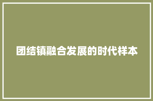 团结镇融合发展的时代样本