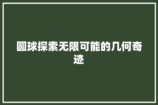 圆球探索无限可能的几何奇迹