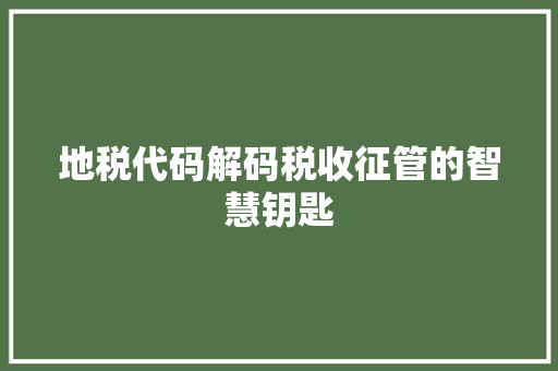 地税代码解码税收征管的智慧钥匙
