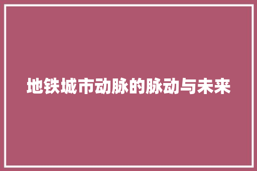 地铁城市动脉的脉动与未来