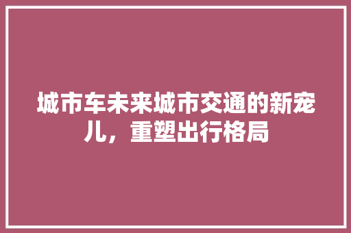 城市车未来城市交通的新宠儿，重塑出行格局