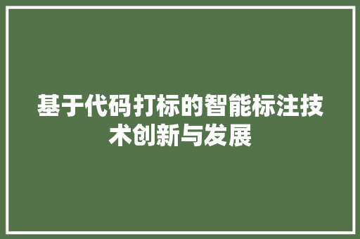 基于代码打标的智能标注技术创新与发展