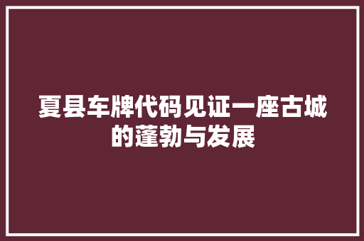 夏县车牌代码见证一座古城的蓬勃与发展