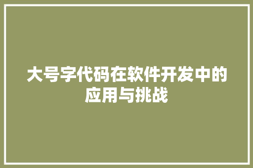 大号字代码在软件开发中的应用与挑战