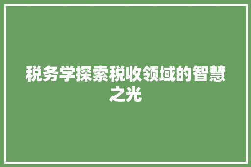 税务学探索税收领域的智慧之光