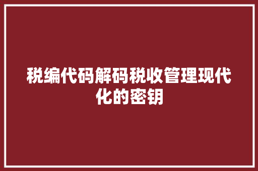 税编代码解码税收管理现代化的密钥