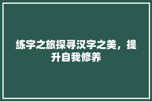 练字之旅探寻汉字之美，提升自我修养