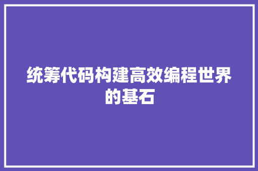统筹代码构建高效编程世界的基石