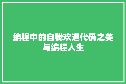 编程中的自我欢迎代码之美与编程人生